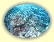 IMG_2007_05_27 18_04_26 * 2254 x 1686 * (779KB)